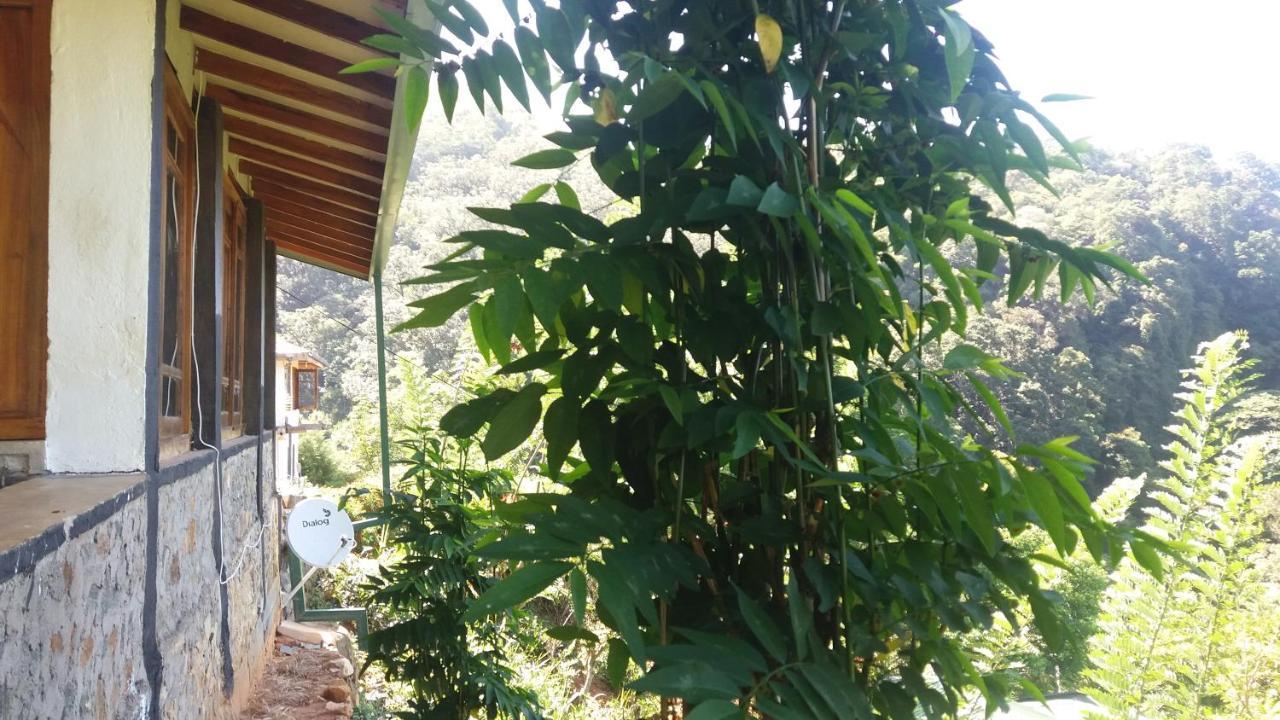 Artist Cottage Haputale Exterior photo